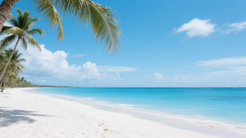 开曼群岛公司注册