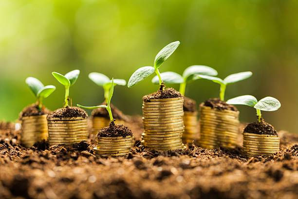 7月新公司法执行后注册资金最低多少？注册资金填多少合适？ 